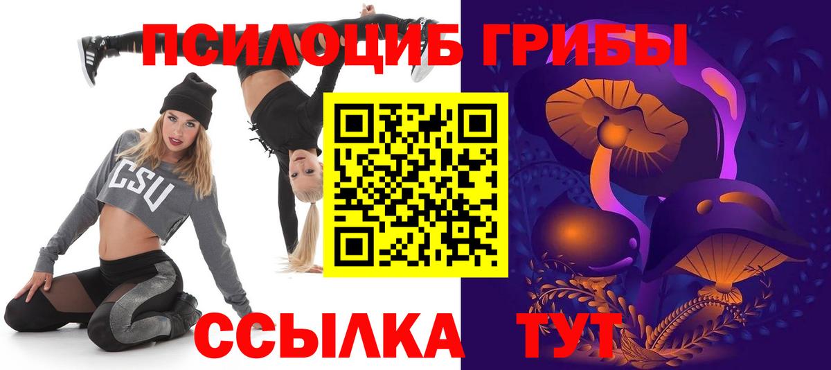 Псилоцибиновые грибы Cubensis Костомукша