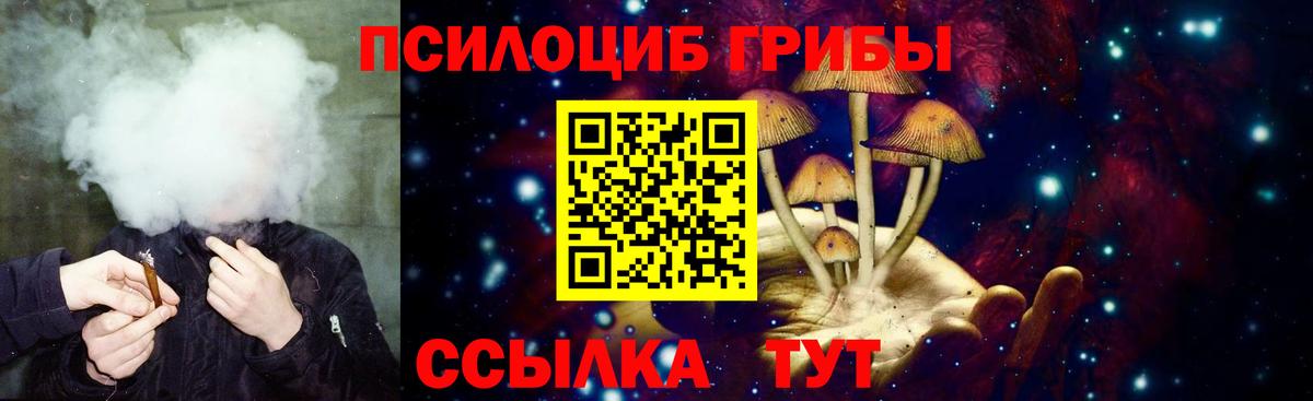 Галлюциногенные грибы Cubensis  Псилоцибиновые грибы мухоморы  Вход с VPN  Костомукша 